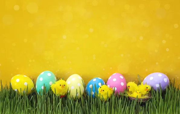 Картинка трава, цыплята, весна, Пасха, wood, spring, Easter, eggs