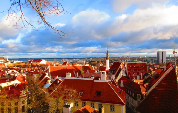 Крыши, Эстония, Tallinn, roofs, Таллинн, Вышгород