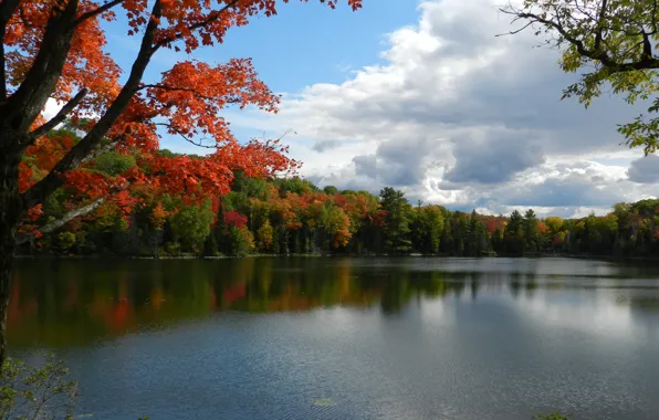 Nature, autumn, lake