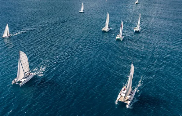 Море, спорт, сверху, регата, Панаш, sailing catamarans, Panache, парусные катамараны