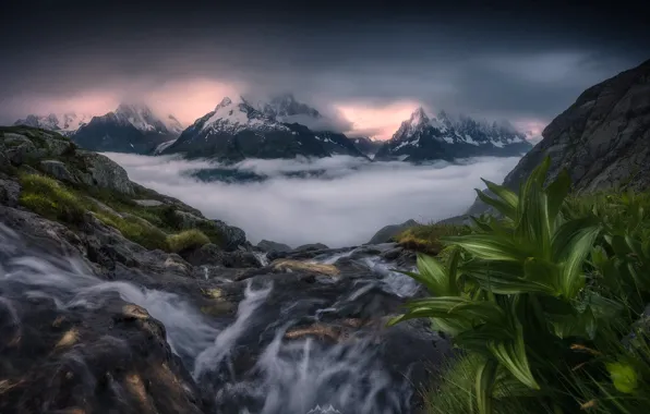 Картинка трава, листья, облака, снег, пейзаж, горы, природа, туман