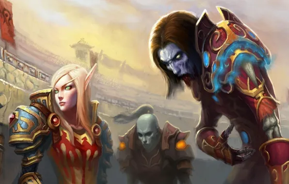 Маг, арена, World of warcraft, паладин, разбойник, эльфийка крови, отрёкшиеся
