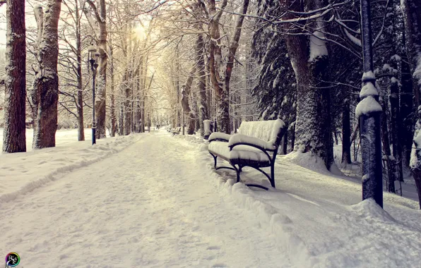 Картинка зима, солнце, снег, скамейка, парк, Pavel Nazarenko