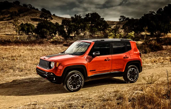 Jeep, Trailhawk, 2015, Renegade