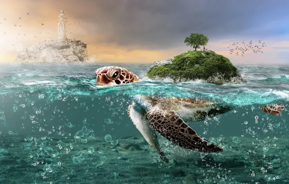Море, небо, взгляд, вода, облака, птицы, скала, рендеринг