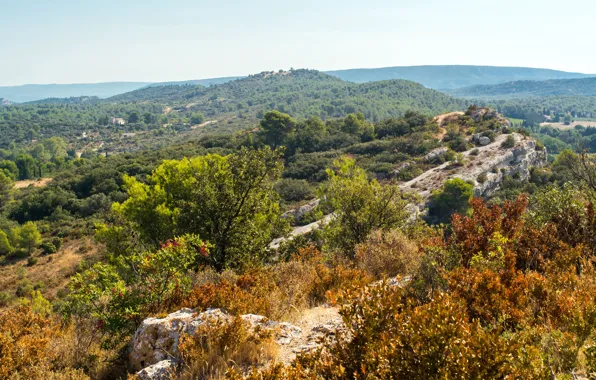 Лес, деревья, горы, камни, Франция, солнечно, кусты, Provence
