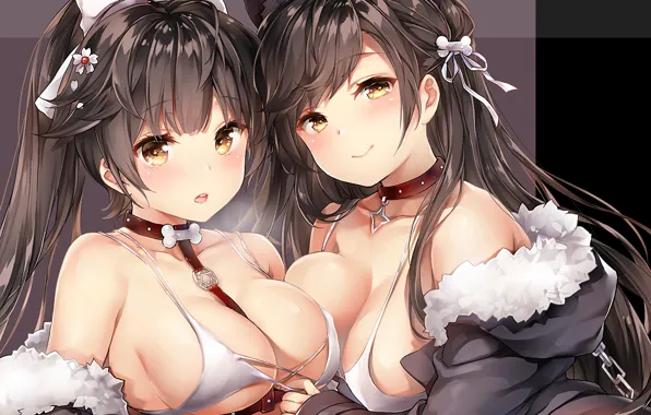 Sexy, lingerie, bra, cleavage, long hair, girls, boobs, animal ears