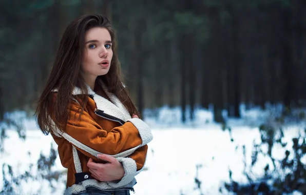 Картинка лес, взгляд, снег, деревья, Девушка, Влад Попов