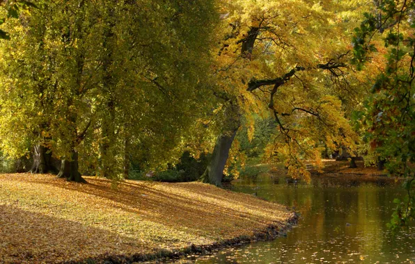 Осень, листья, деревья, парк, река, Германия, Germany, Hannover