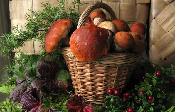 Картинка осень, корзина, грибы, ягоды урожай
