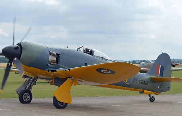 Британский, многоцелевой, палубный истребитель, Mk II, Sea Fury