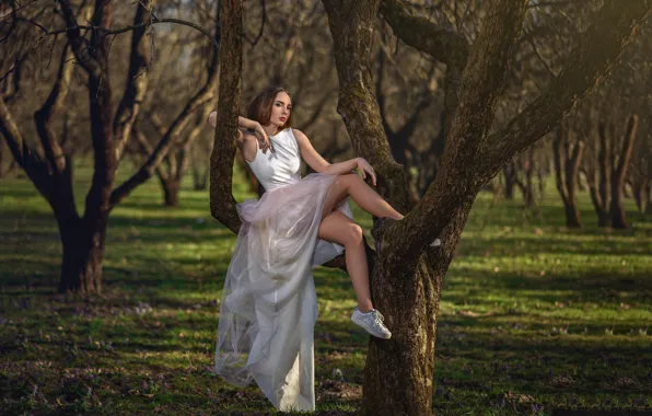 Картинка девушка, деревья, платье, ножки, Dmitry Medved