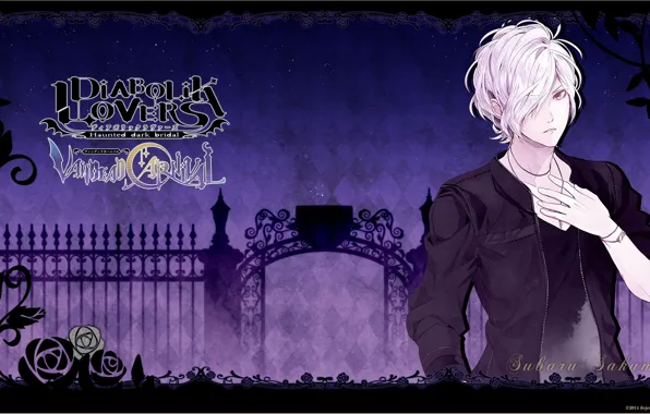 РЕДКАЯ фигурка технической статуи из аниме Diabolik Lovers SHU SAKAMAKI No. 15 mensHdge