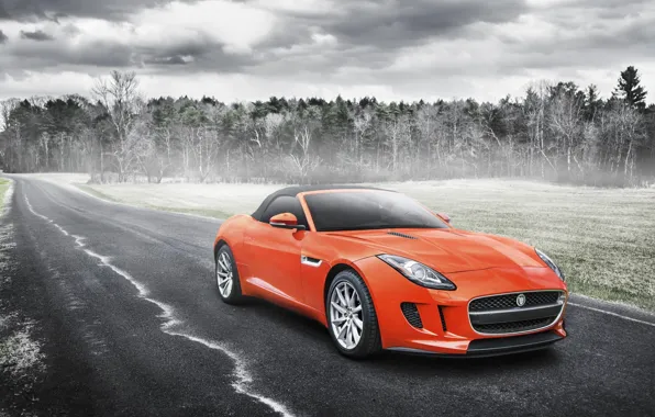 Картинка Jaguar, Orange, Car, Sport, Road, F-Type