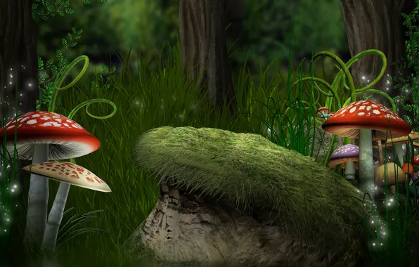 Лес, трава, грибы, папоротники, мухоморы, forest, Magic, mushroom