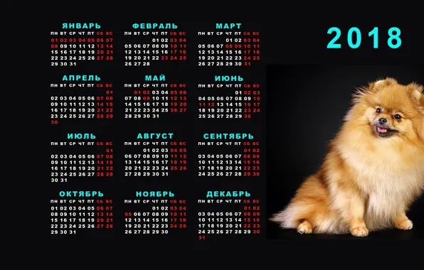 Новый год, календарь, 2018, шпиц