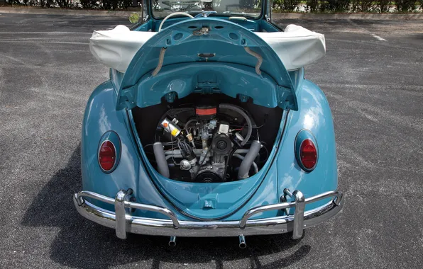 Volkswagen, Beetle, ретро автомобили, Cabriolet, 1963, retro cars, Volkswagen Beetle Cabriolet