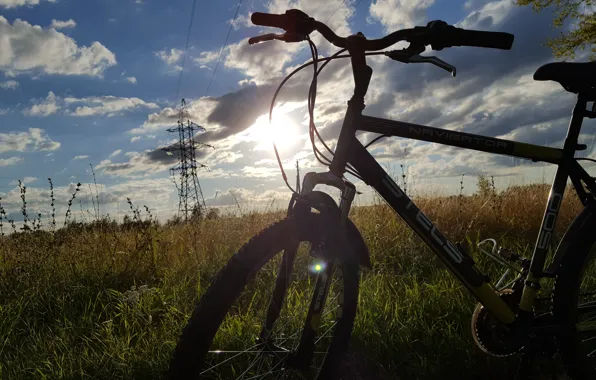 Солнце, природа, отдых, Велосипед, sun