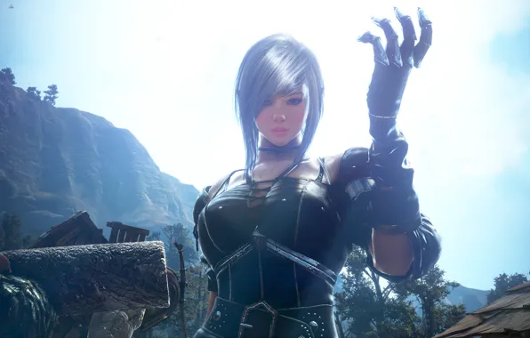 Black Desert, Black Desert Online, BDO