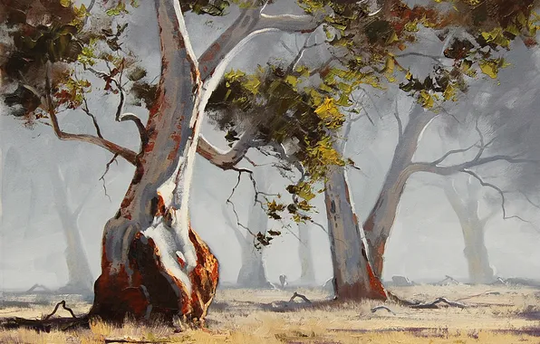Картинка деревья, природа, арт, солнечно, artsaus, eucalyptus tree