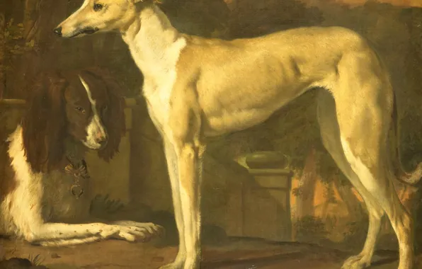 Животные, масло, картина, холст, Ян Баптист Веникс, 1680, Jan Baptist Weenix, Портрет борзой и спаниеля