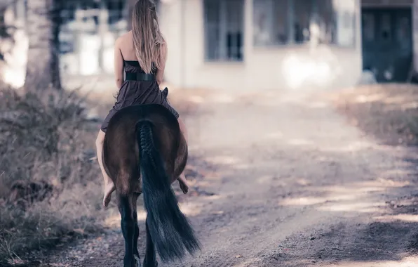 Картинка дорога, девушка, настроение, конь
