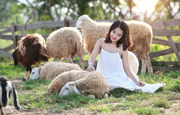 Девушка, природа, овцы