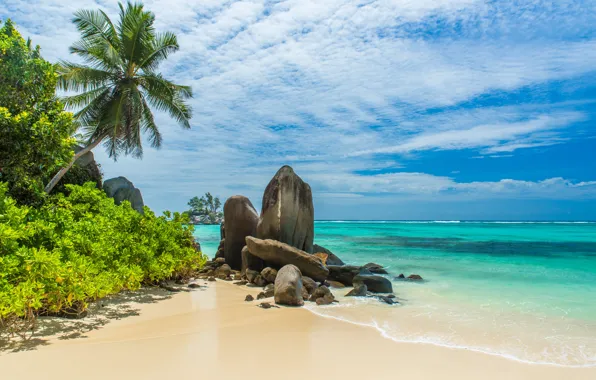 Песок, море, пляж, природа, океан, summer, beach, sea