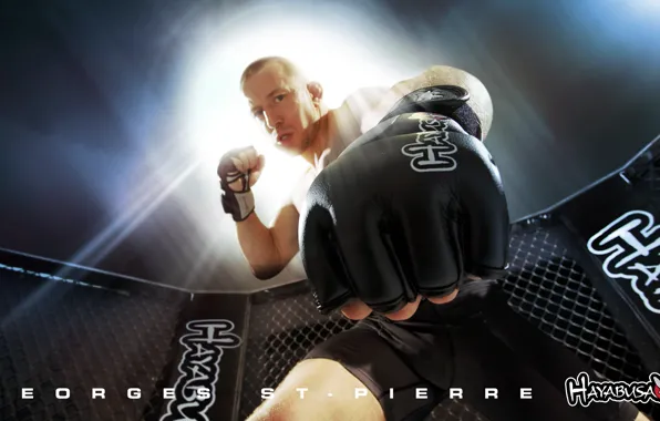 MMA, UFC, champion, Georges, welterweight, Сент-пьер, GSP, St-Pierre