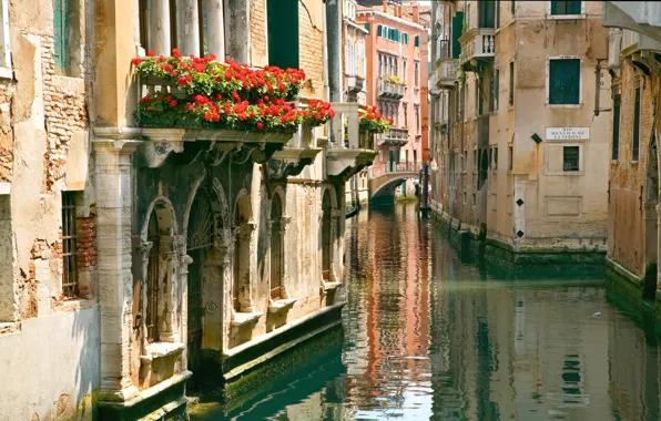 Дома, красота, венеция