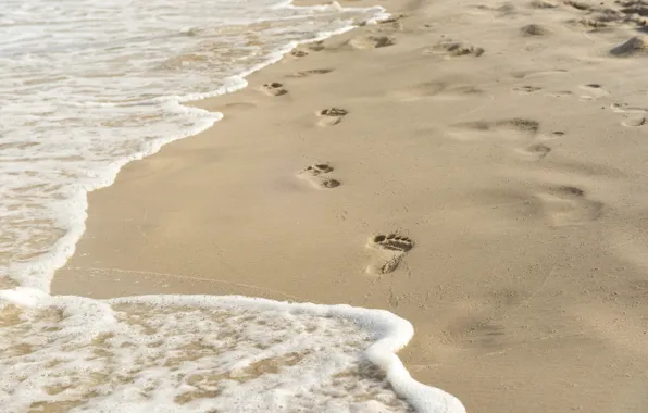 Песок, волны, пляж, следы, summer, beach, sea, sand