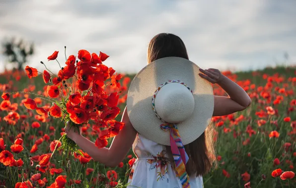 Поле, лето, небо, девушка, облака, свет, цветы, природа