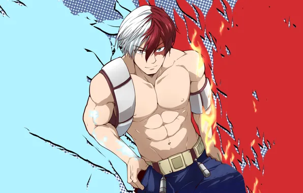 Взгляд, Огонь, Парень, My Hero Academia, Boku No Hero Academia, Тодороки Шото, Моя Геройская Академия