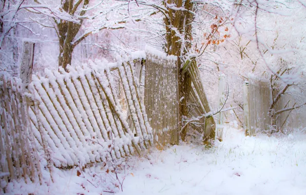 Картинка зима, снег, деревья, забор, снегопад