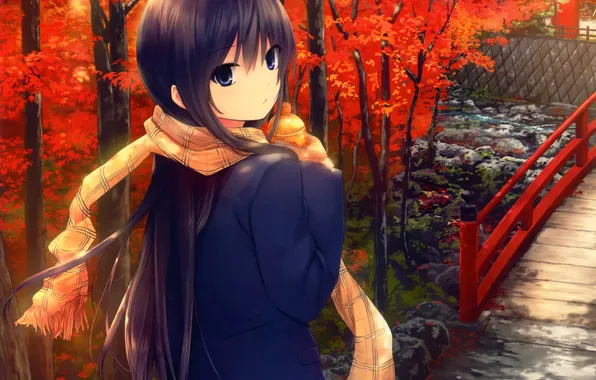 Картинка осень, девушка, деревья, мост, природа, аниме, шарф, арт
