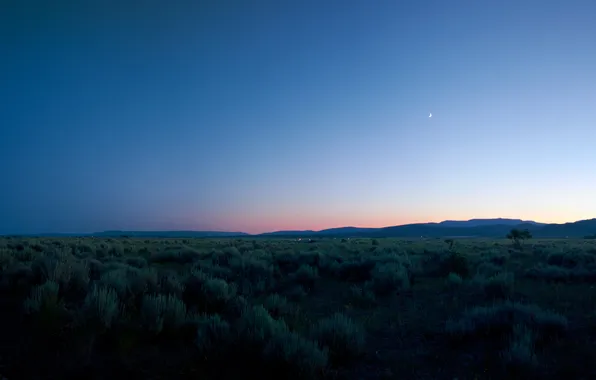 Картинка трава, закат, горы, Oregon, Lakeview