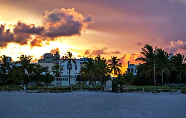 Beach, sunset, florida, miami beach, miami