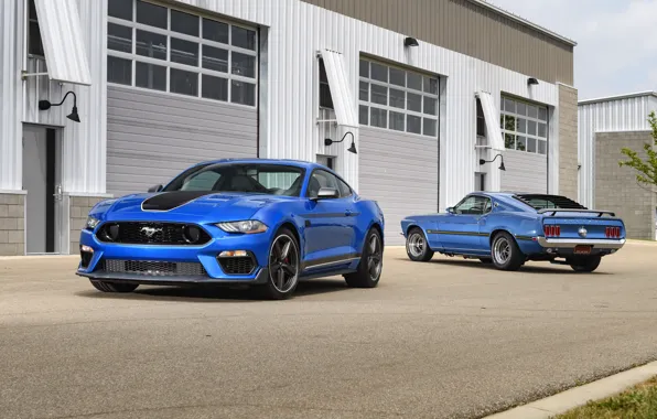 Картинка Blue, Mustang Mach 1, Two cars