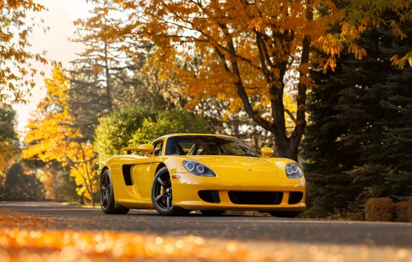 Картинка Porsche, supercar, legend, Porsche Carrera GT