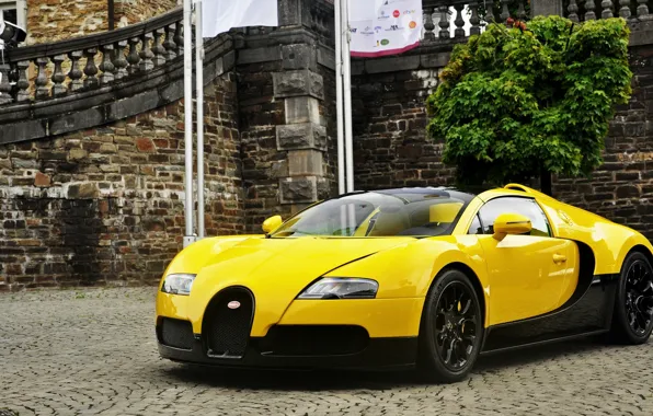 Картинка Бугатти, Вейрон, 2012, Yellow, Бугатти Вейрон, Bugatti Veyron. Black, Желтый Вейрон