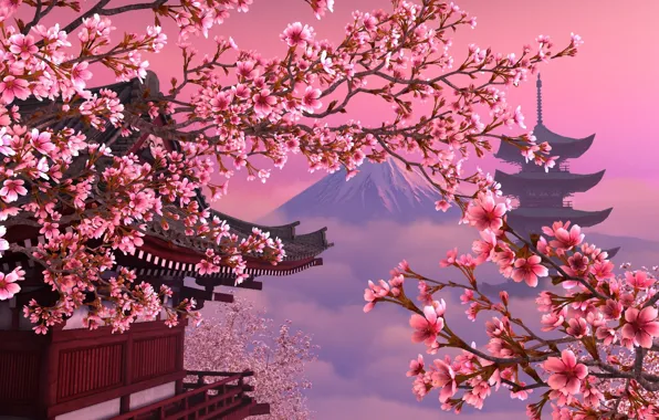 Япония, сакура, розовое, красиво