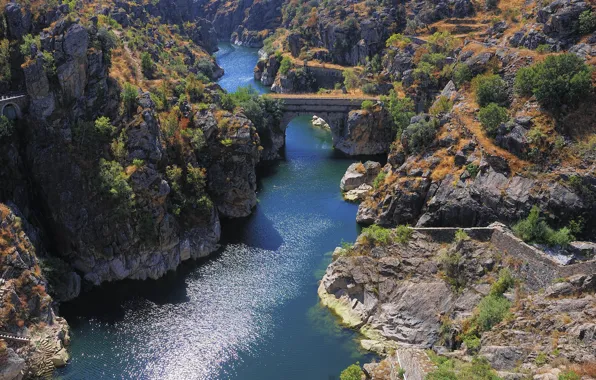 Деревья, мост, река, скалы