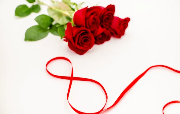 Цветы, розы, лента, красные, red, 8 марта, flowers, romantic