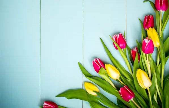 Картинка цветы, весна, colorful, тюльпаны, yellow, wood, pink, flowers