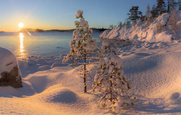 Картинка зима, солнце, снег, деревья, пейзаж, природа, озеро, рассвет