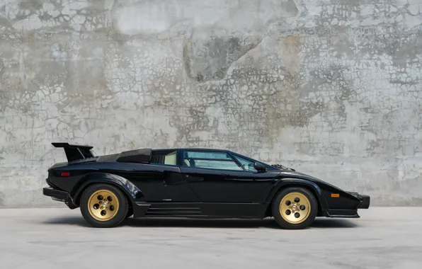 Картинка Supercar, Lamborghini Countach, 5000QV, 1988