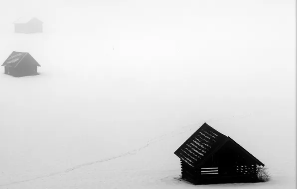 Картинка поле, туман, дома