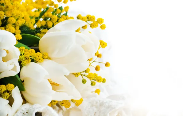 Букет, желтые, тюльпаны, белый фон, белые, крупным планом, мимозы