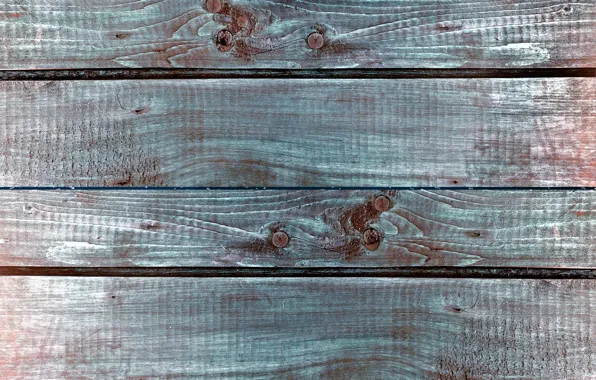 Дерево, цвет, структура