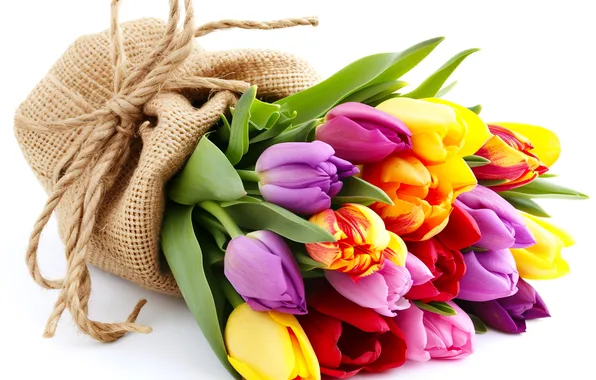 Картинка цветы, букет, colorful, тюльпаны, flowers, tulips, spring, bouquet